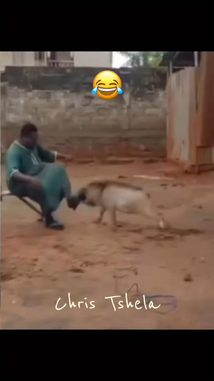 😂 fin de combat 😂